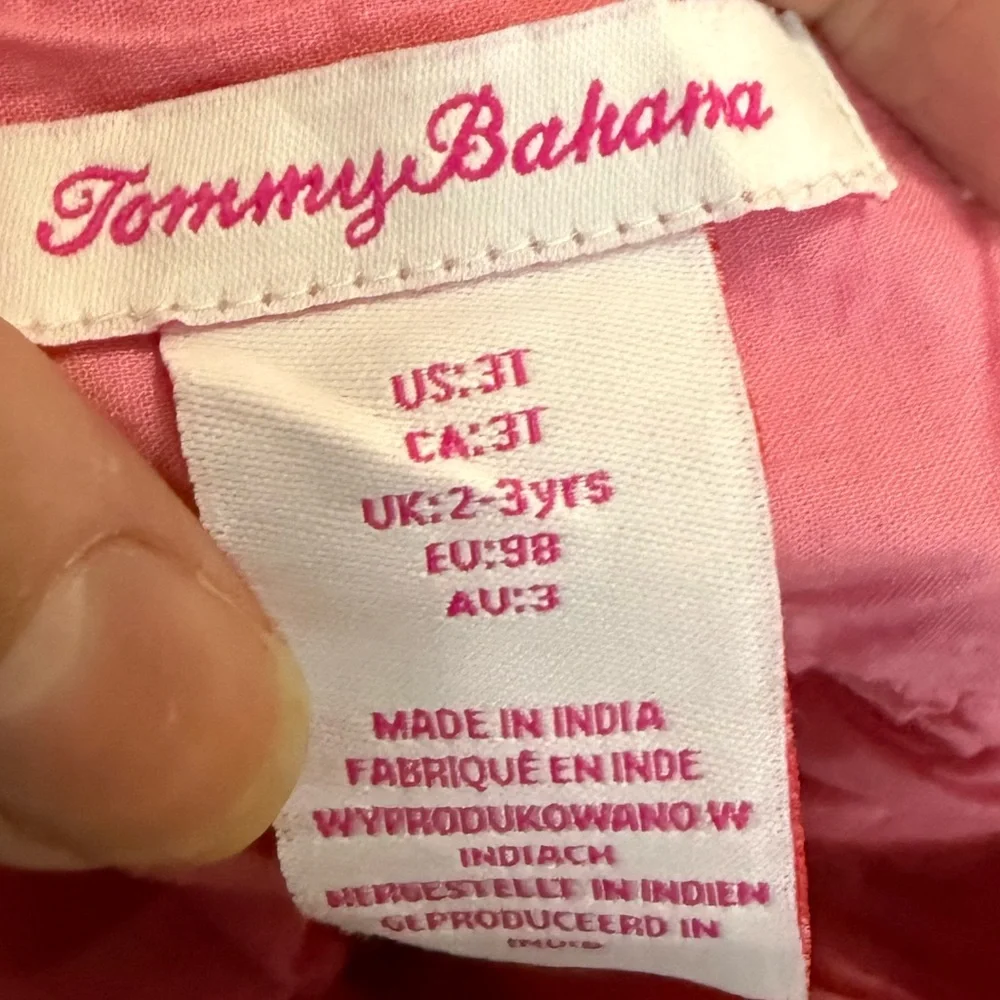 2 Size 3T Dresses